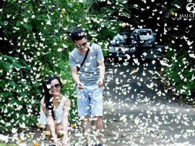 du-lich-rung-quoc-gia-cuc-phuong-2-ngay-1-dem