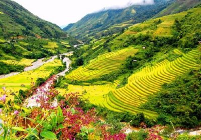 thung-lung-muong-hoa-sapa