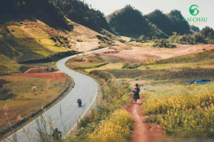 Du-lich-moc-chau-tet-duong-lich-4