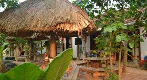 Jungle-Boss-Homestay-quang-binh