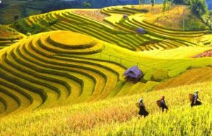 những điều cần biết khi đi du lịch Sapa