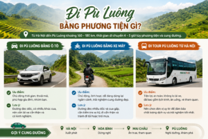 di-pu-luong-bang-phuong-tien-gi